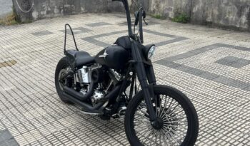 ➡Harley Davidson Fat Boy⬅ completo