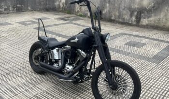➡Harley Davidson Fat Boy⬅ completo