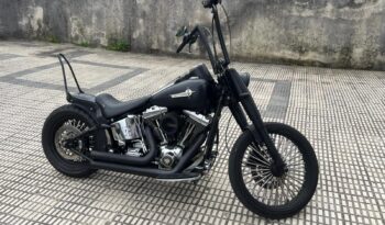 ➡Harley Davidson Fat Boy⬅ completo