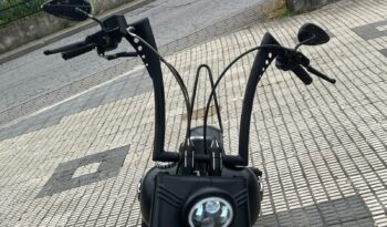 ➡Harley Davidson Fat Boy⬅ completo