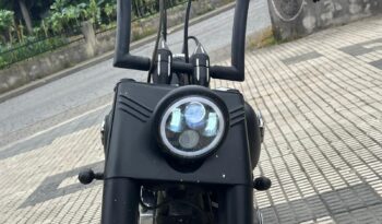 ➡Harley Davidson Fat Boy⬅ completo