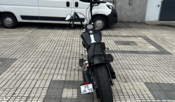➡Harley Davidson Fat Boy⬅ completo