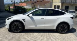 ➡ Tesla Y Longe range⬅